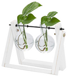 Clear Glass Planter