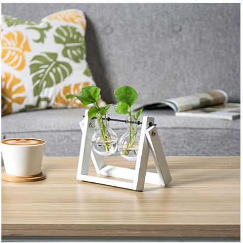 Clear Glass Planter